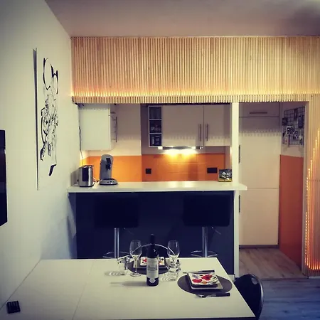 50 M2 Au Coeur De La Ville * リエージュ